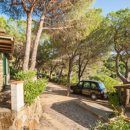 Σπίτι διακοπών Piccola Oasi-1 By Interhome Casa Ajali