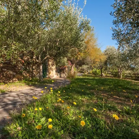 Piccola Oasi-1 By Interhome Σπίτι διακοπών Casa Ajali