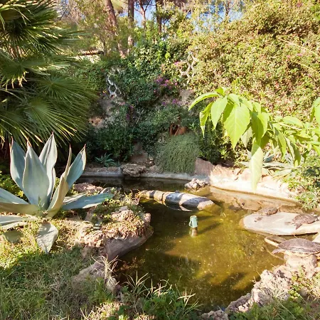 Piccola Oasi 6 By Interhome * Casa Ajali